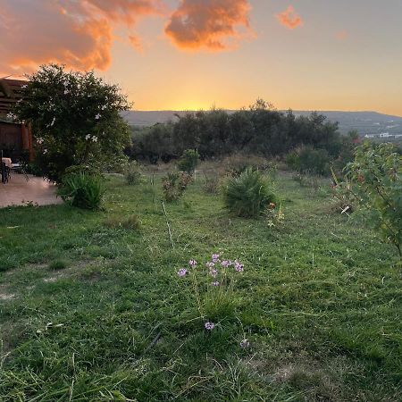 فيلا Chrissi'S House With Garden And Sea View Zerviana كيساموس المظهر الخارجي الصورة