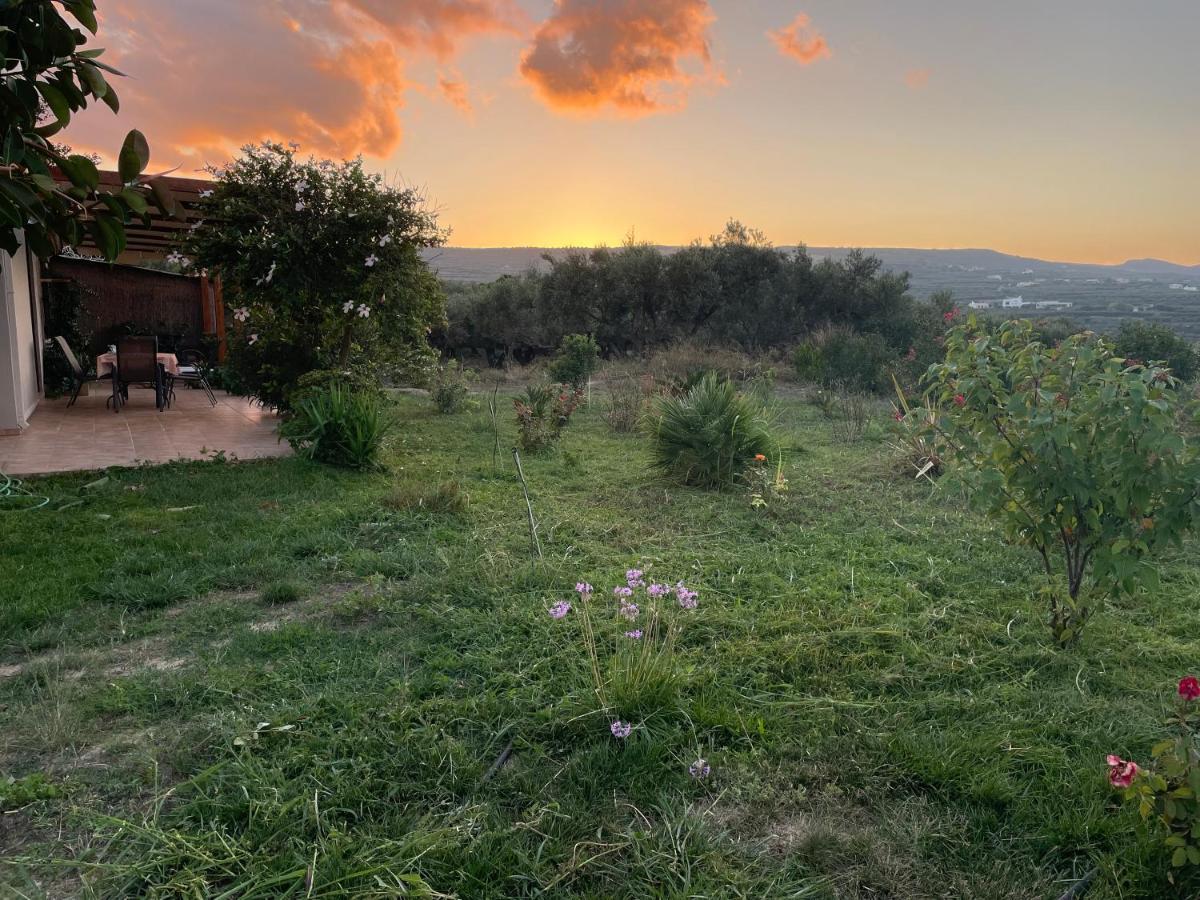 فيلا Chrissi'S House With Garden And Sea View Zerviana كيساموس المظهر الخارجي الصورة